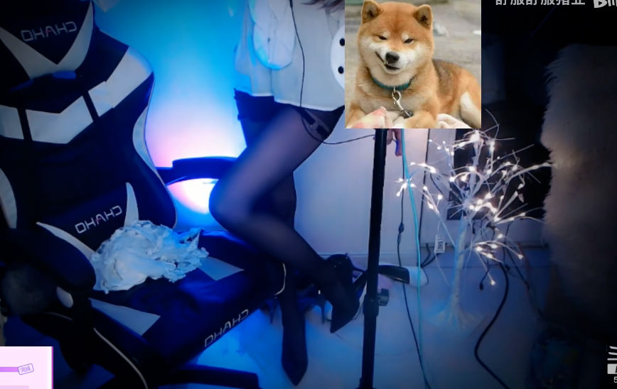 斗鱼丸子君早期直播录像切片34-[丸子君]